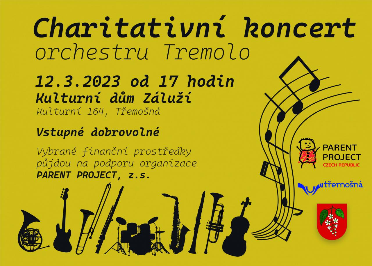 charitativni_koncert